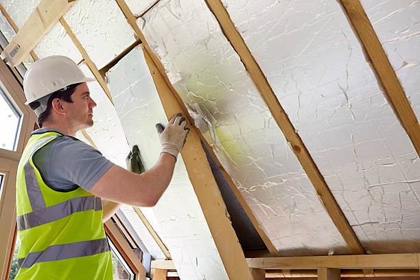 Best Insulation Removal  in Hurst, TX