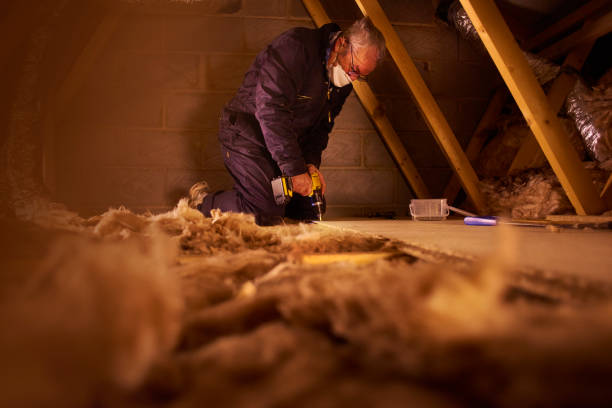 Best Energy-efficient Insulation  in Hurst, TX