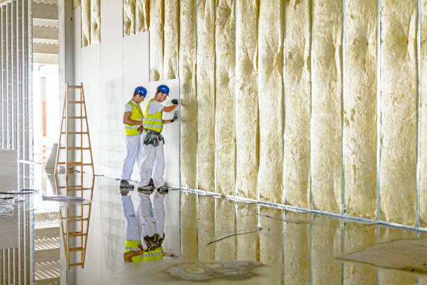 Best Spray Foam Insulation  in Hurst, TX
